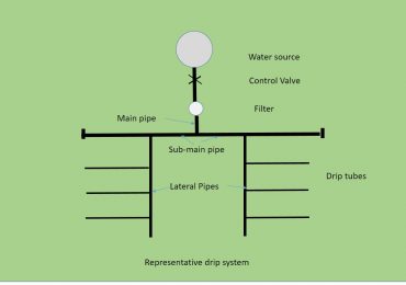Drip Irrigation: An Efficient and Cost-Effective Solution for Your 1-Acre Farm