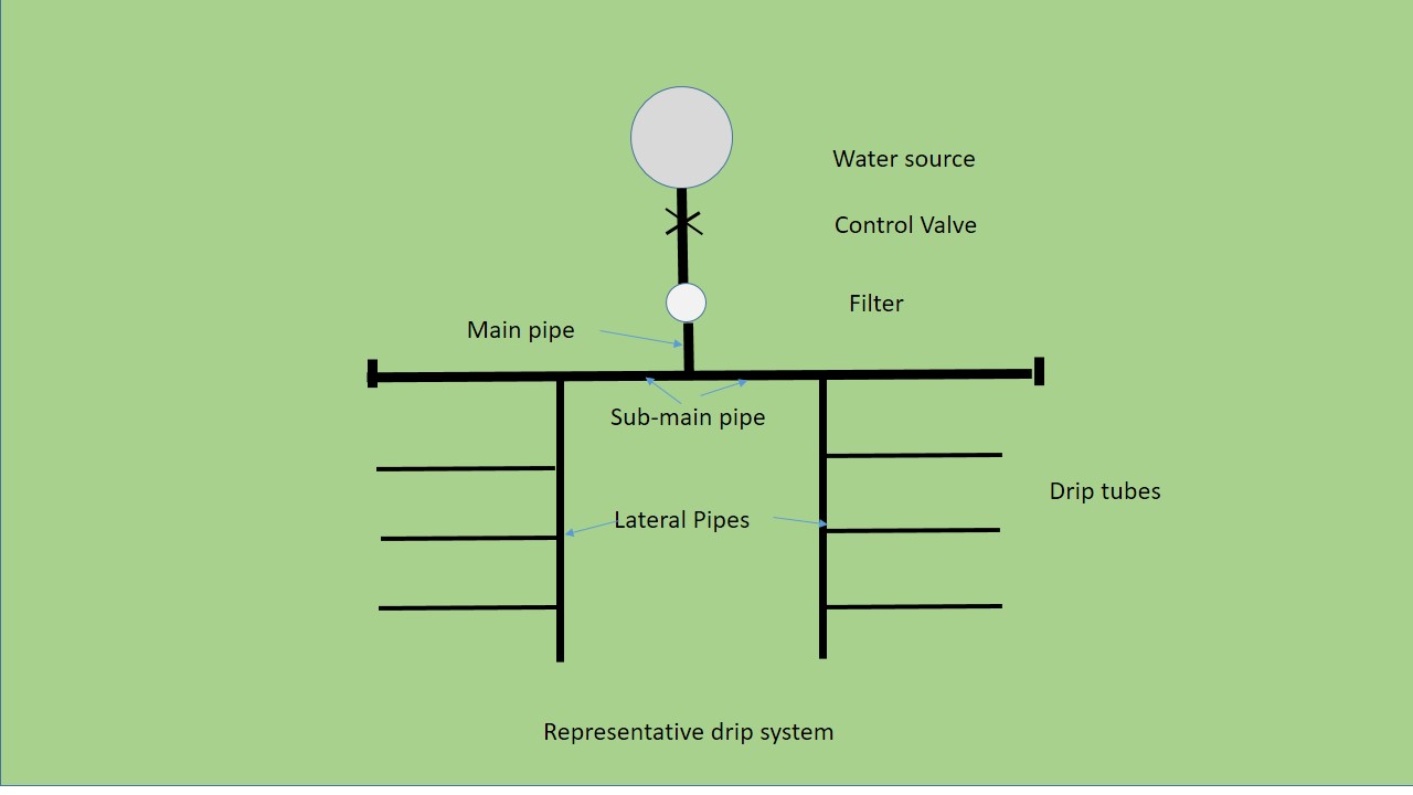 Drip Irrigation: An Efficient and Cost-Effective Solution for Your 1-Acre Farm