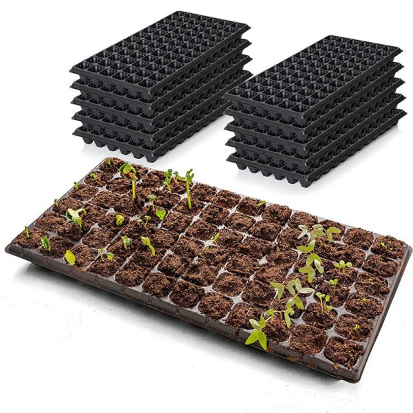 seedling trays kenya